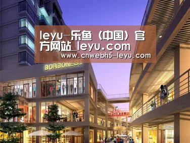 案例展示一(图1)