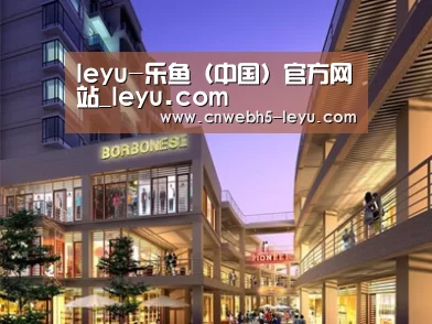 案例展示一