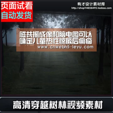  登录入口