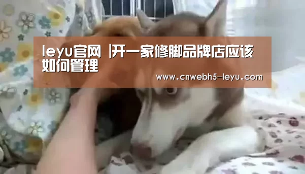  乐鱼官方首页 